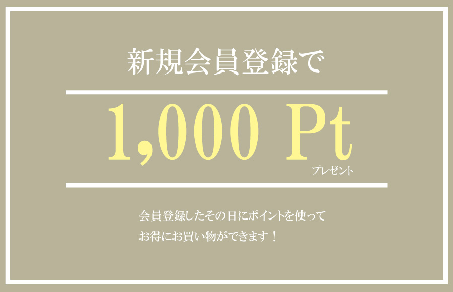 MORIYA ONLINE STORE < リニューアルポイントキャンペーン!>