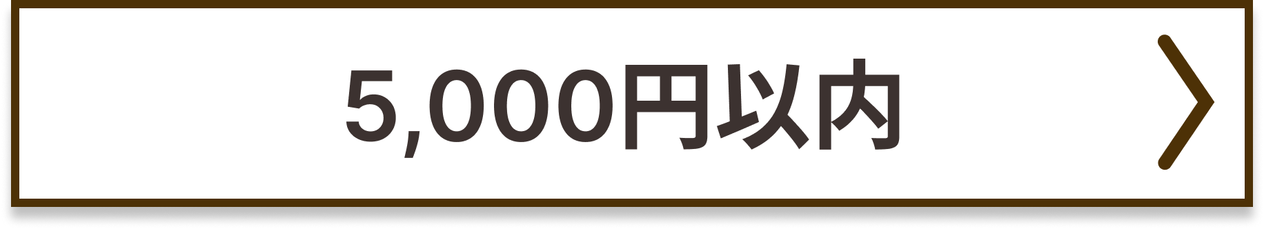 予算5000円以内